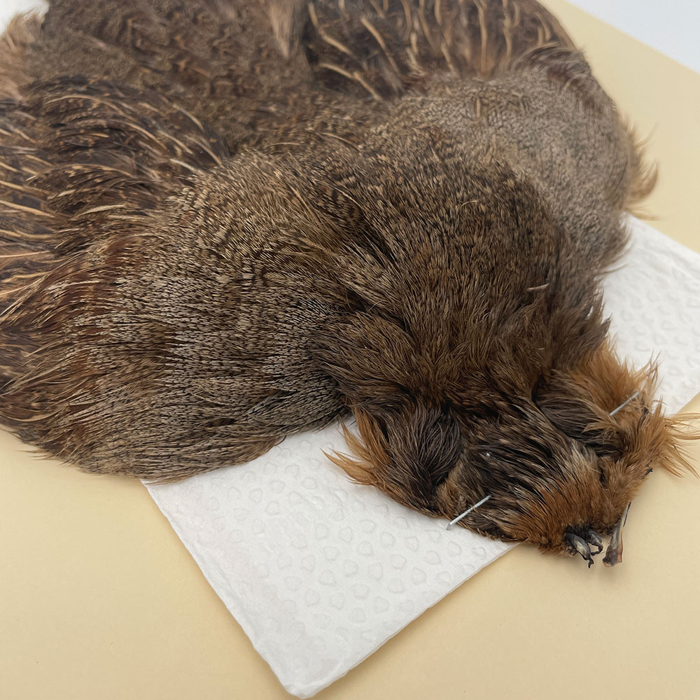 ϥ󥬥ꥢѡȥåץ꡼ȥ SAɥ֥饦 NO.3