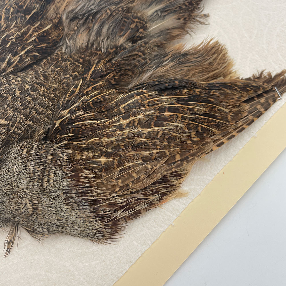 ϥ󥬥ꥢѡȥåץ꡼ȥ SAɥ NO.4