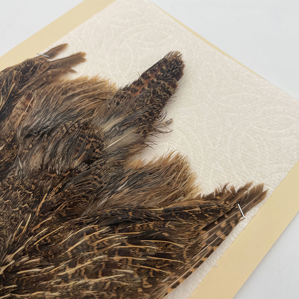 ϥ󥬥ꥢѡȥåץ꡼ȥ SAɥ NO.4