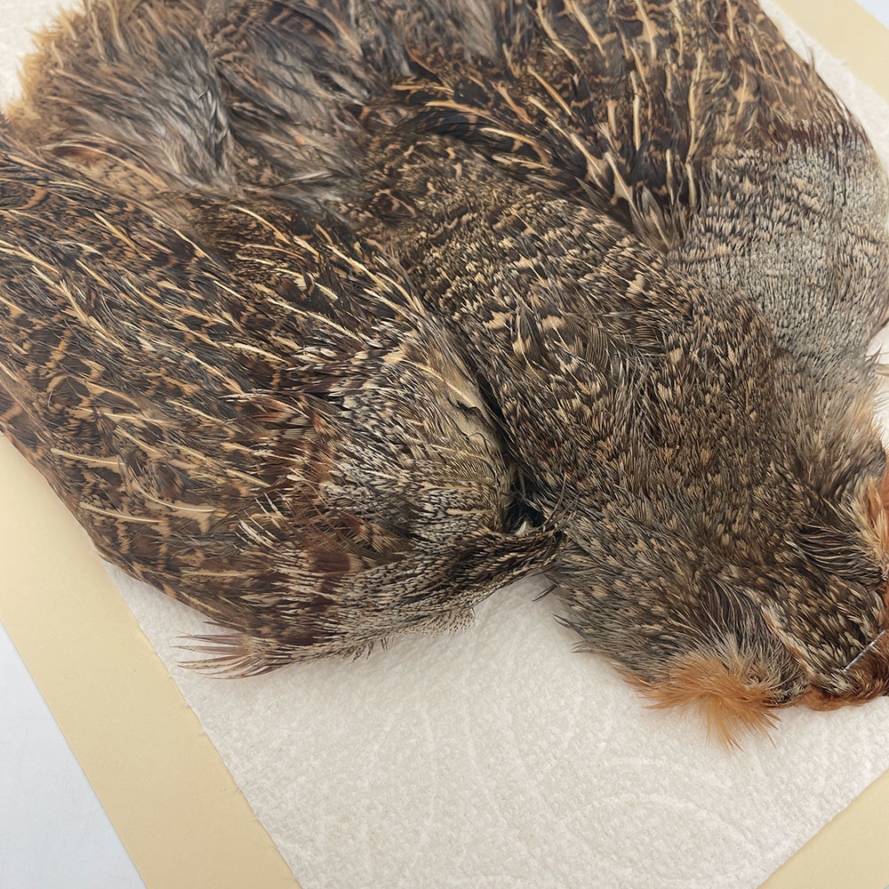 ϥ󥬥ꥢѡȥåץ꡼ȥ SAɥ NO.4