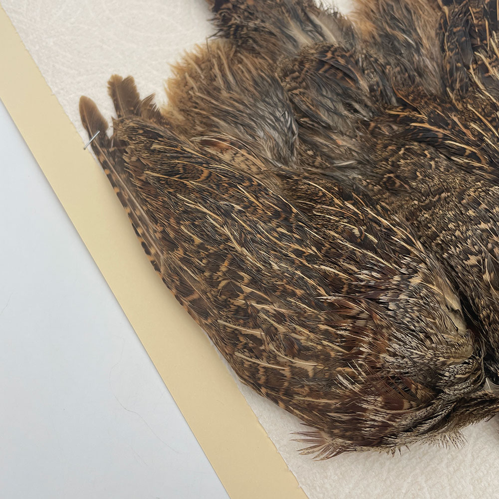 ϥ󥬥ꥢѡȥåץ꡼ȥ SAɥ NO.4