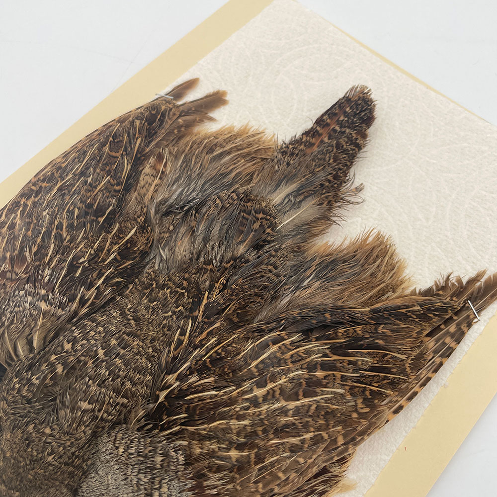 ϥ󥬥ꥢѡȥåץ꡼ȥ SAɥ NO.4