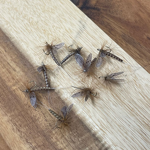 Vania �ե�����ե饤���ޡ����֥饦�󡡡ʥ���������