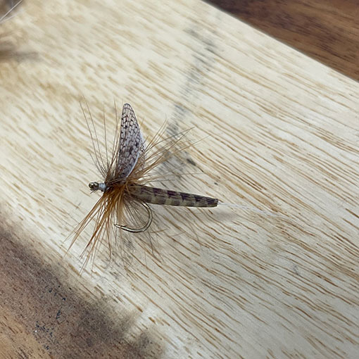 Vania �ե�����ե饤���ޡ����֥饦�󡡡ʥ���������