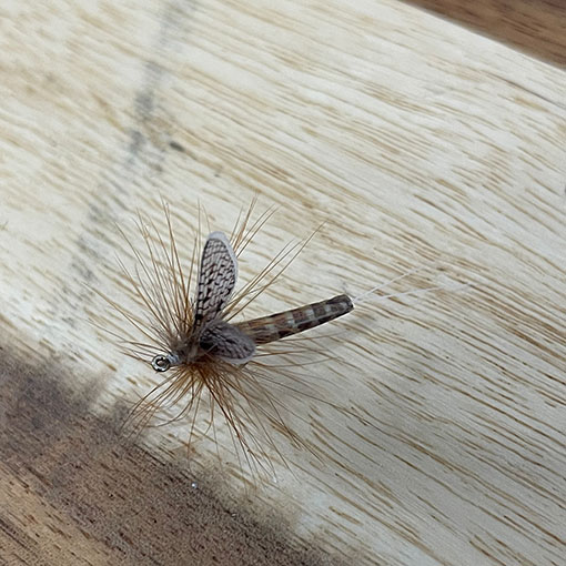 Vania �ե�����ե饤���ޡ����֥饦�󡡡ʥ���������