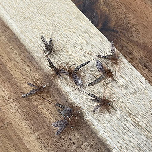 Vania �ե�����ե饤���ޡ����֥饦�󡡡ʥ���������