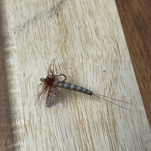 Vania �ե�����ե饤���ޡ����֥饦�󡡡ʥ���������