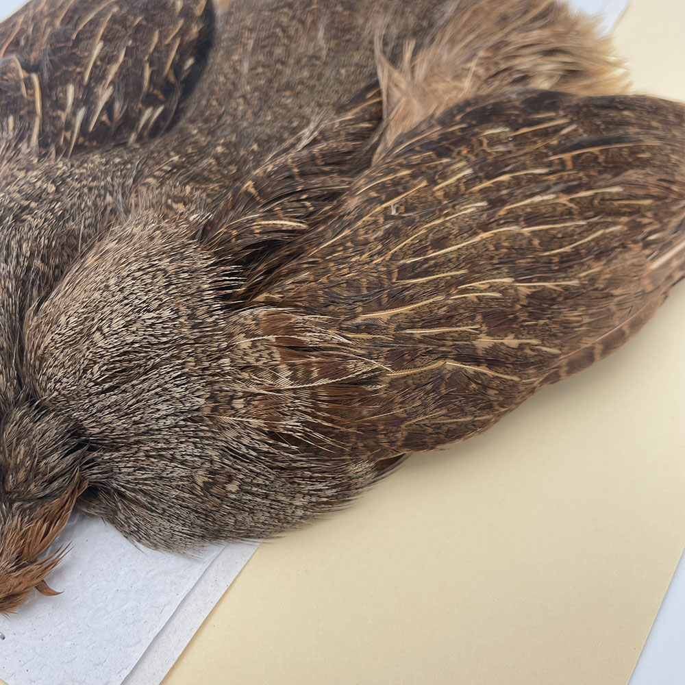 ϥ󥬥ꥢѡȥåץ꡼ȥ SAɥ֥饦 NO.4