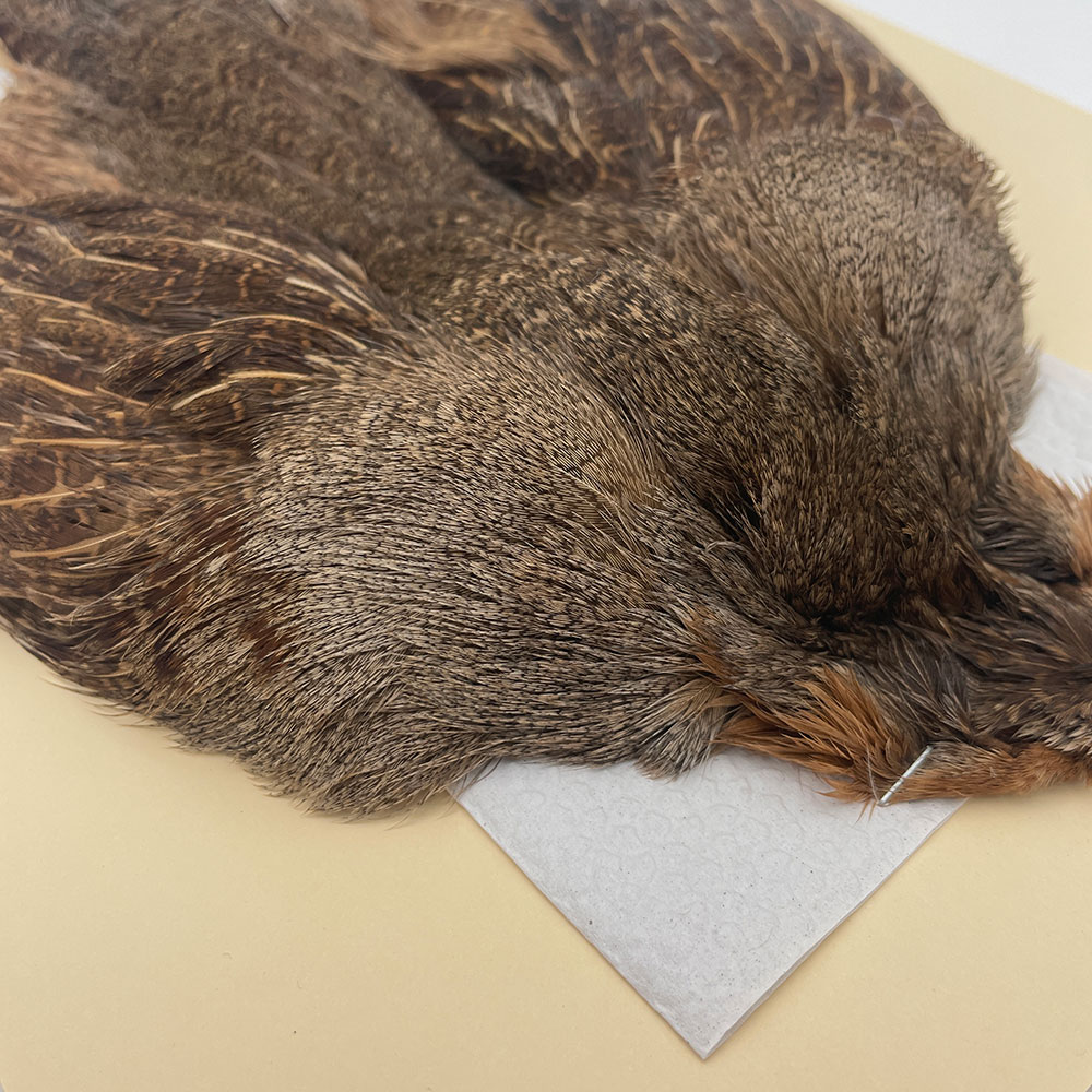 ϥ󥬥ꥢѡȥåץ꡼ȥ SAɥ֥饦 NO.4