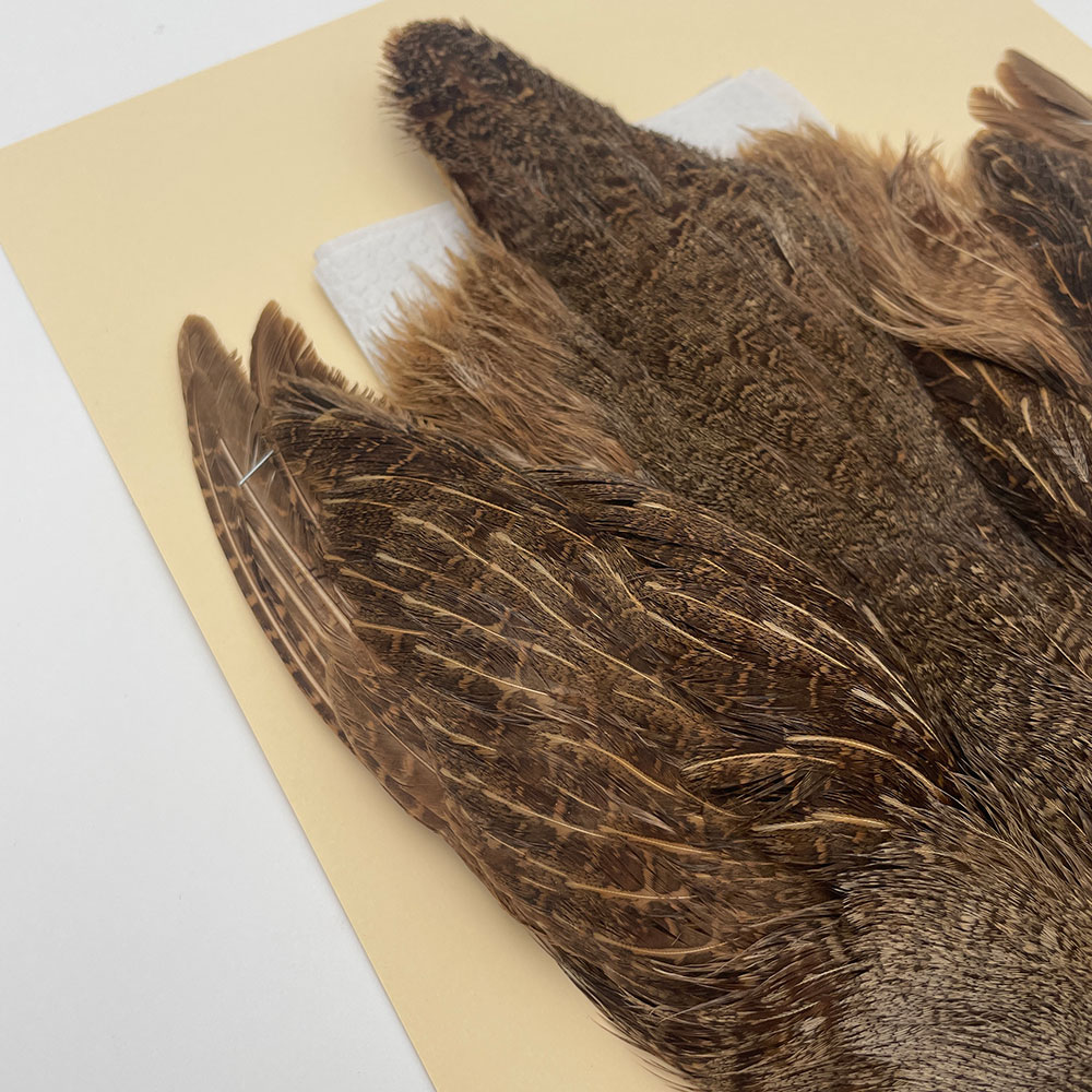 ϥ󥬥ꥢѡȥåץ꡼ȥ SAɥ֥饦 NO.4