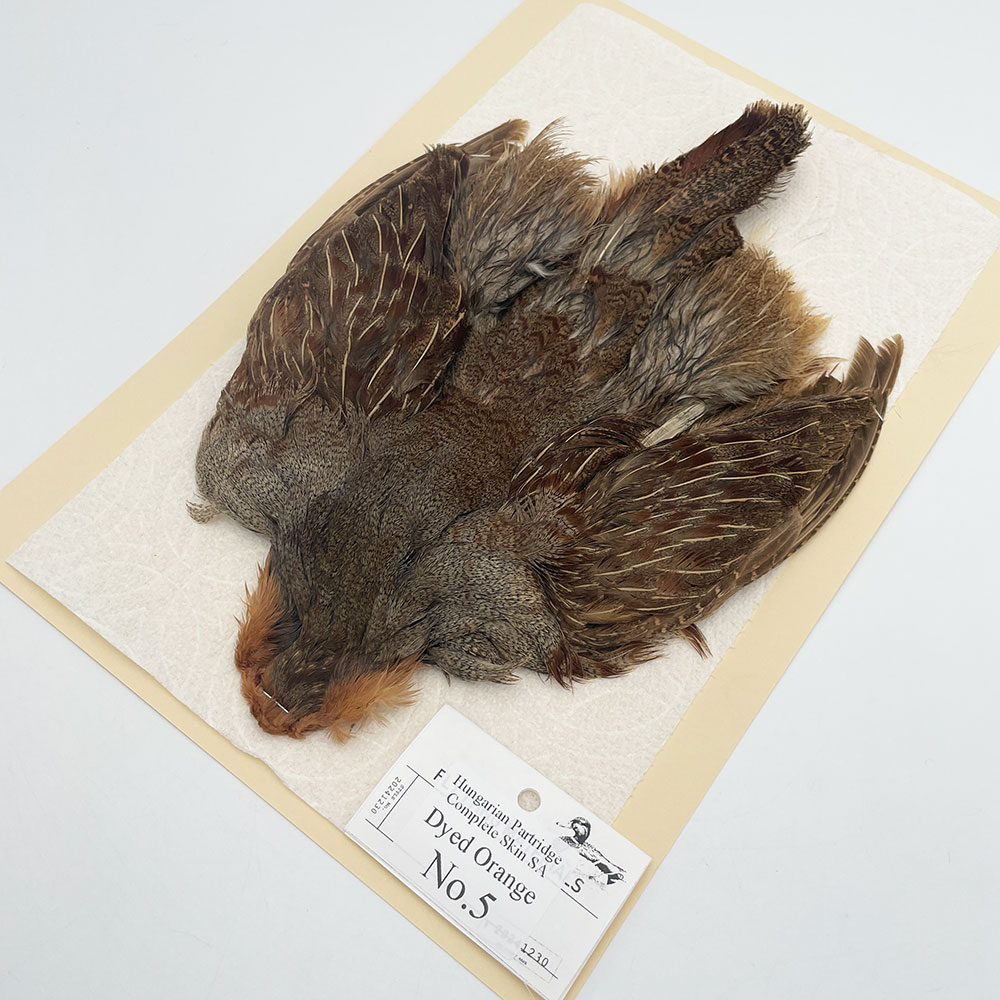 ϥ󥬥ꥢѡȥåץ꡼ȥ SAɥ NO.5