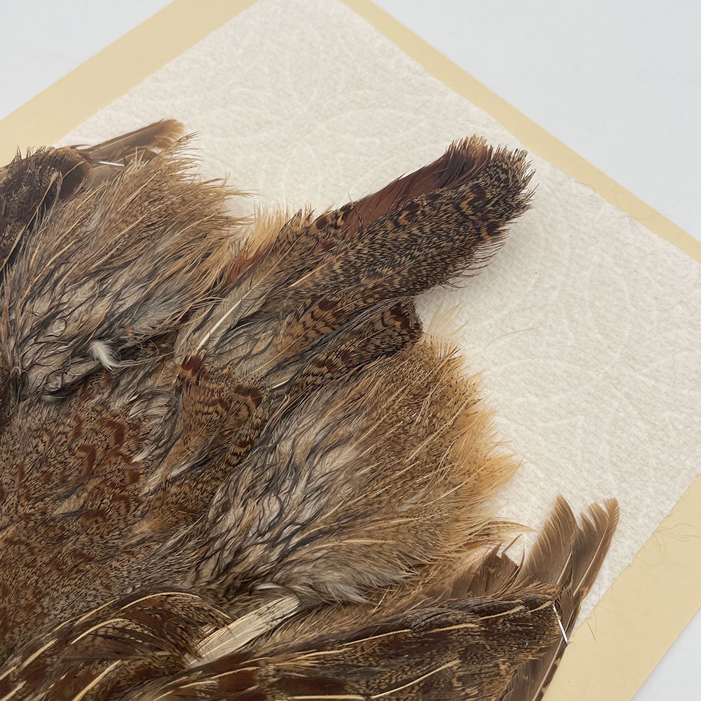 ϥ󥬥ꥢѡȥåץ꡼ȥ SAɥ NO.5