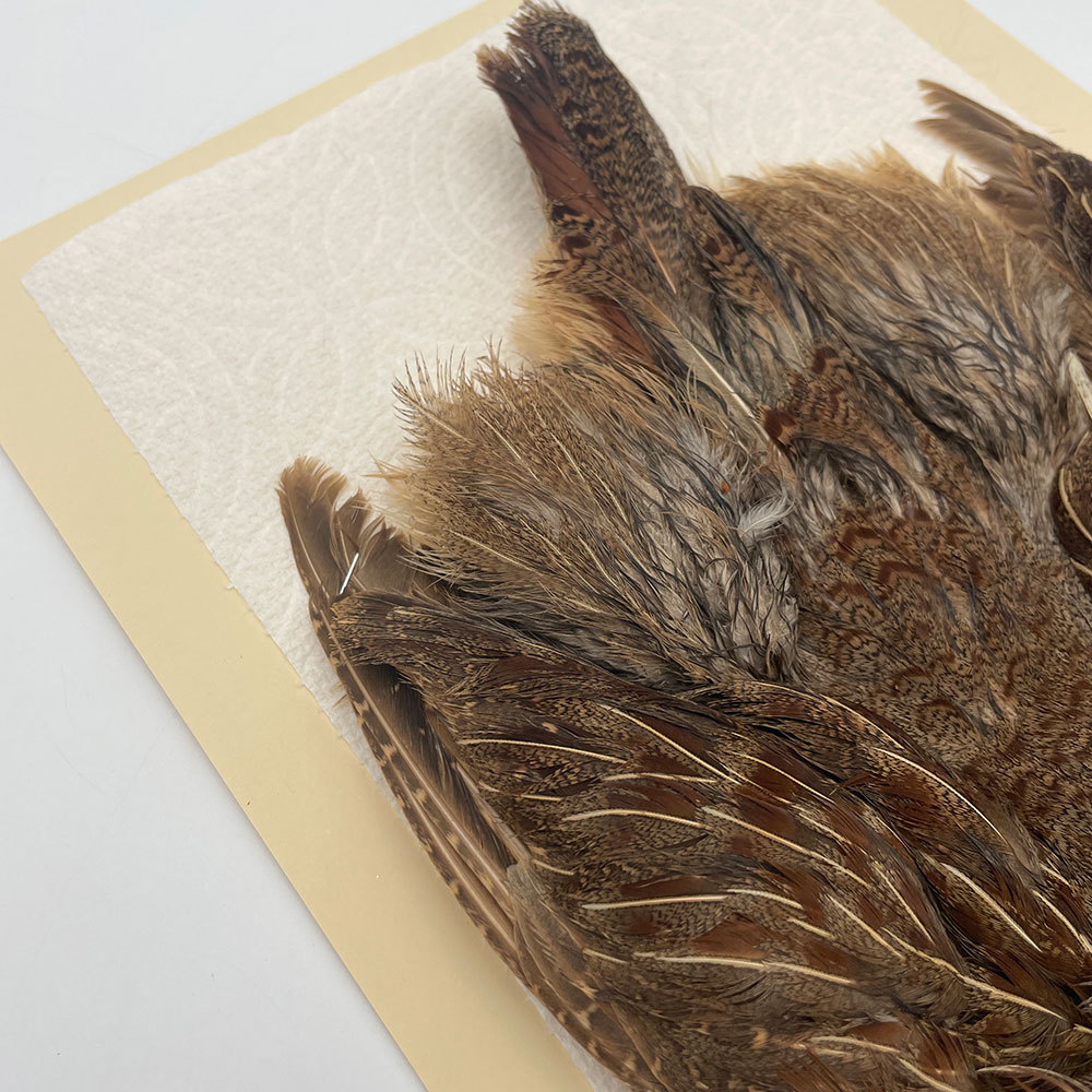 ϥ󥬥ꥢѡȥåץ꡼ȥ SAɥ NO.5