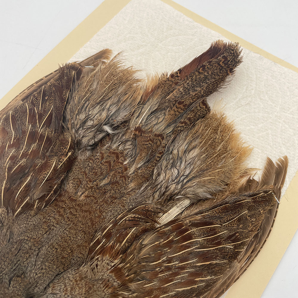 ϥ󥬥ꥢѡȥåץ꡼ȥ SAɥ NO.5