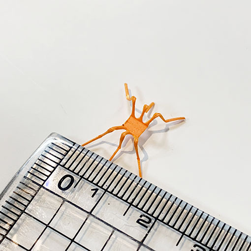 VANIA եե饤󥸥åʥåѡġˡ6ꡡ[VFO]