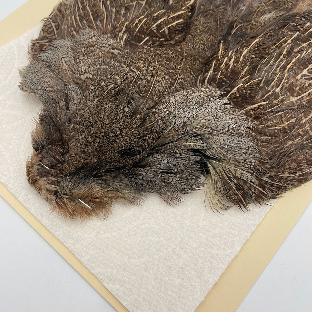 ϥ󥬥ꥢѡȥåץ꡼ȥ SAɥ֥饦 NO.5