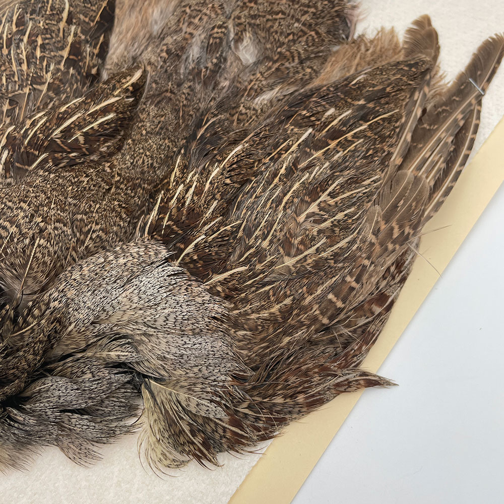 ϥ󥬥ꥢѡȥåץ꡼ȥ SAɥ֥饦 NO.5