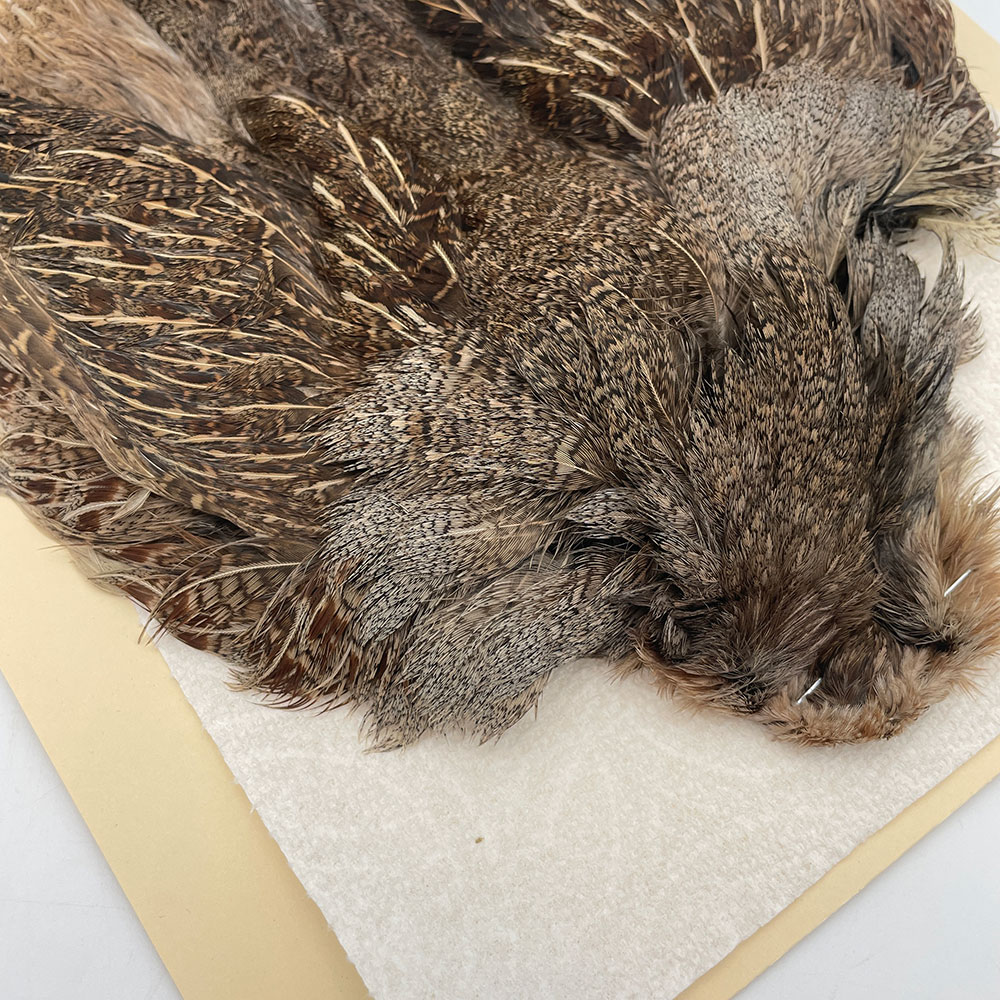 ϥ󥬥ꥢѡȥåץ꡼ȥ SAɥ֥饦 NO.5