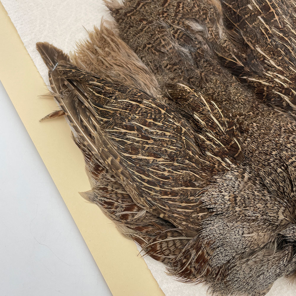 ϥ󥬥ꥢѡȥåץ꡼ȥ SAɥ֥饦 NO.5