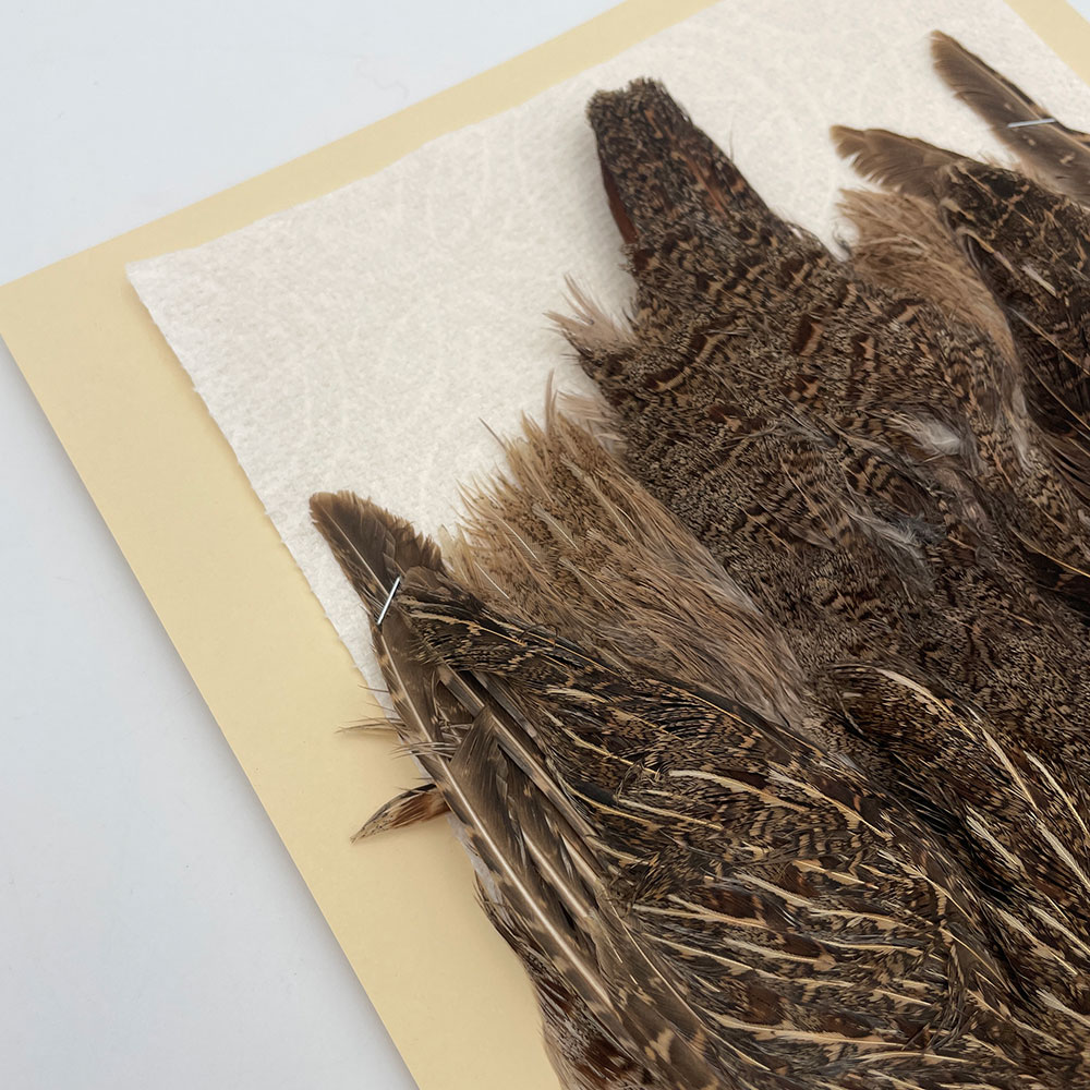 ϥ󥬥ꥢѡȥåץ꡼ȥ SAɥ֥饦 NO.5