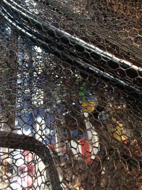 K.Bullet եǥ󥰡ͥå [FSN]