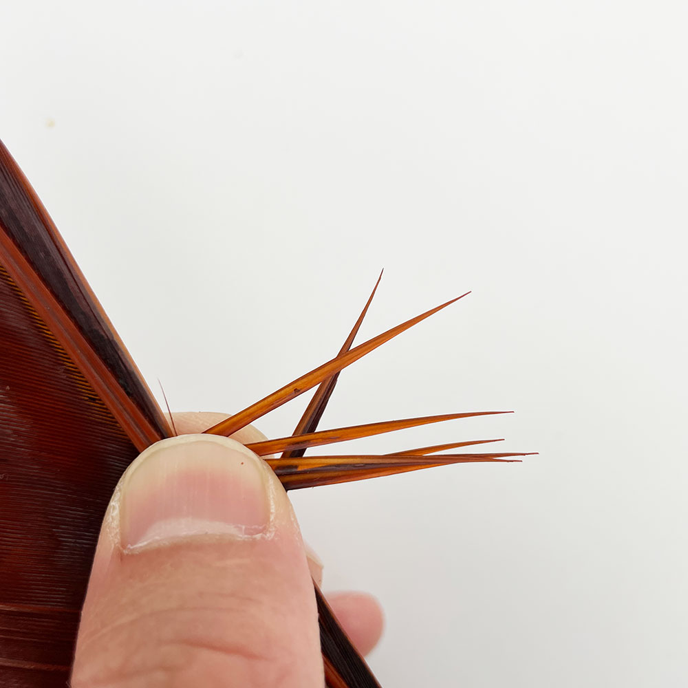 ���������Х����åȥ�����