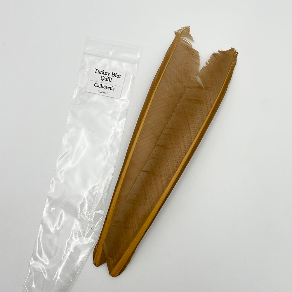 ���������Х����åȥ�����