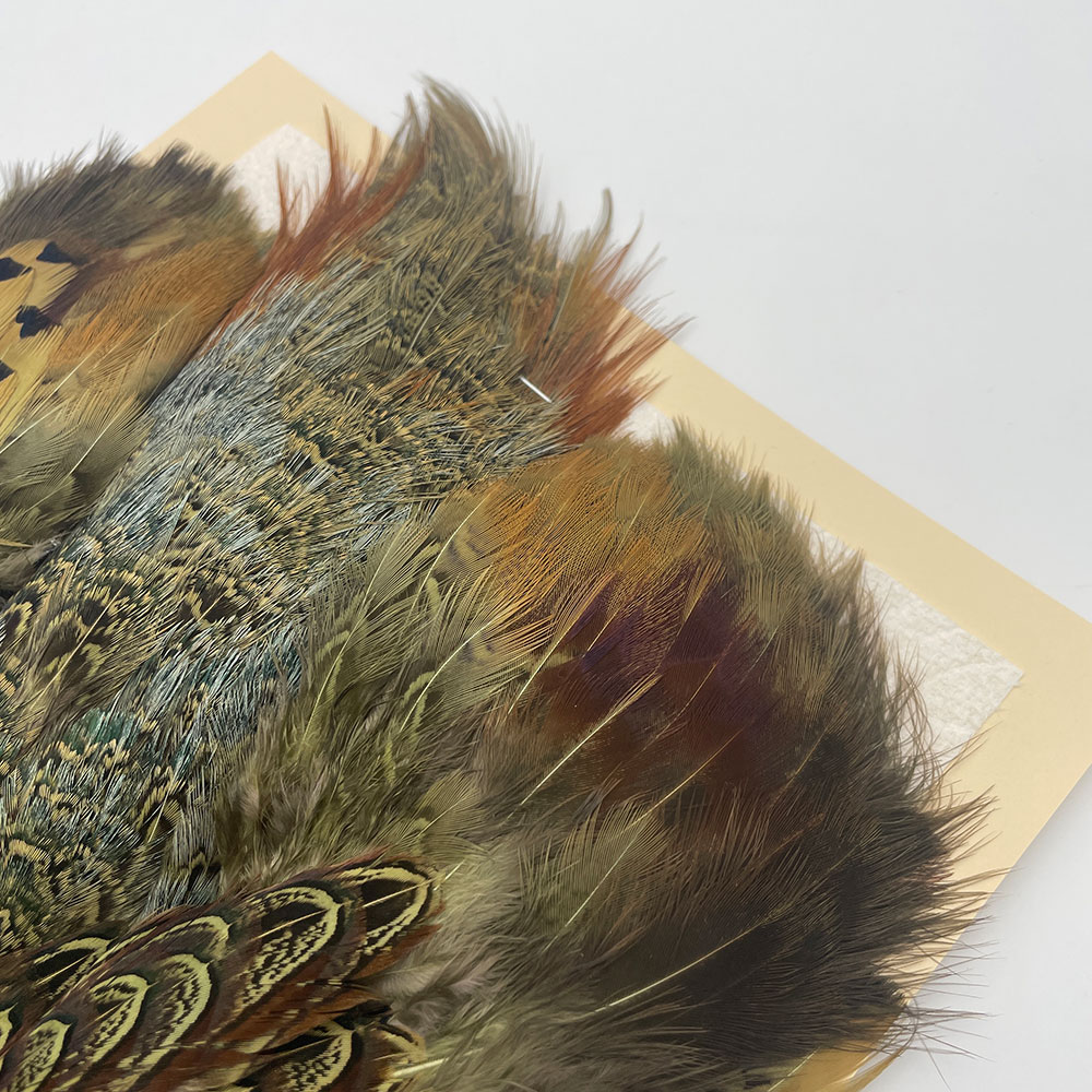 KenCube �����ɥ��å��ե�����ȥ����󡡥��꡼�֡�No.2