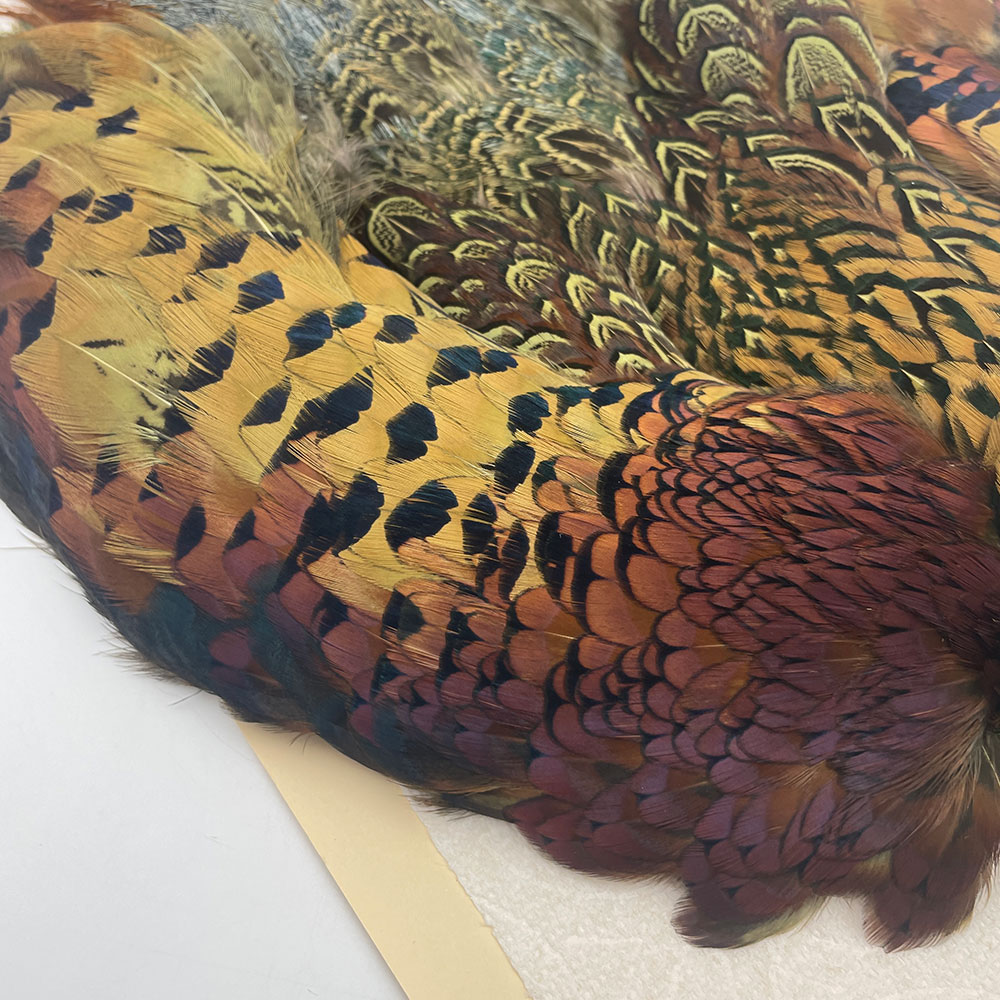 KenCube �����ɥ��å��ե�����ȥ����󡡥��꡼�֡�No.2