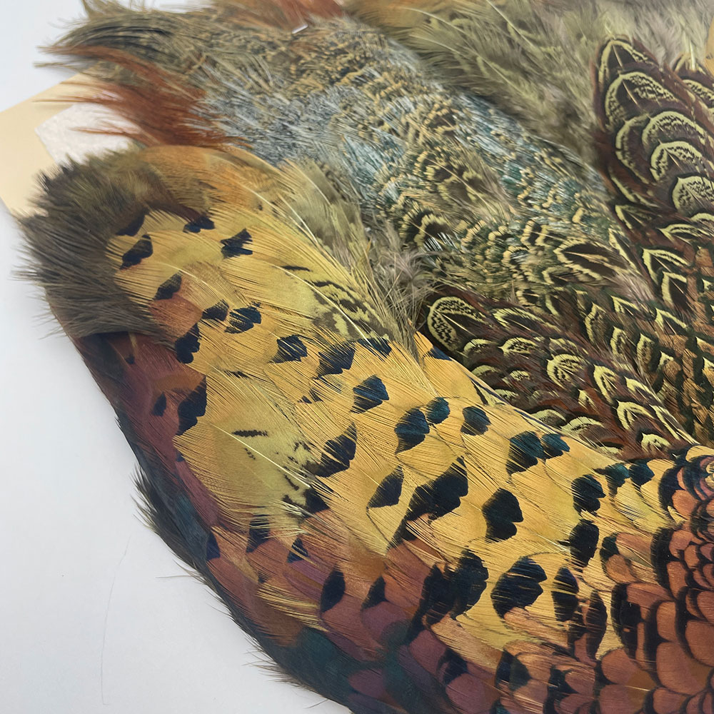 KenCube �����ɥ��å��ե�����ȥ����󡡥��꡼�֡�No.2