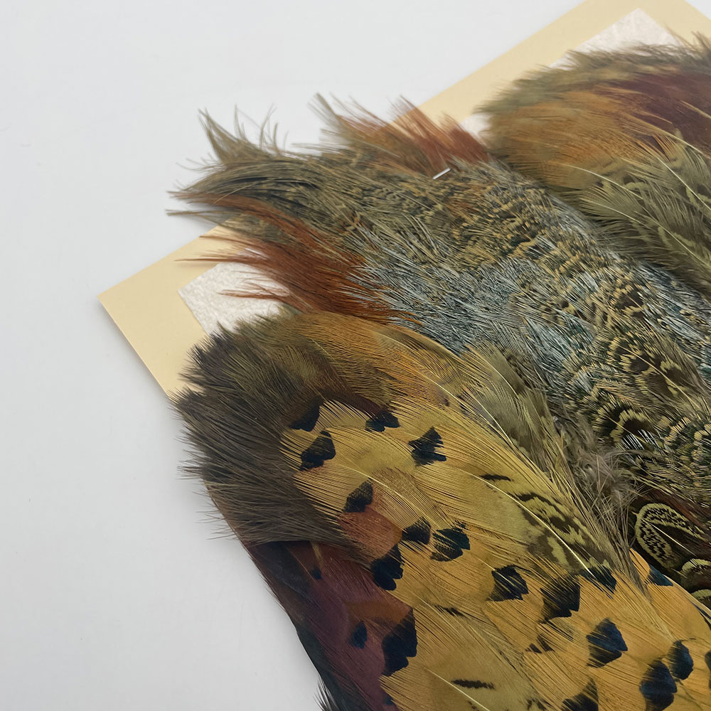 KenCube �����ɥ��å��ե�����ȥ����󡡥��꡼�֡�No.2