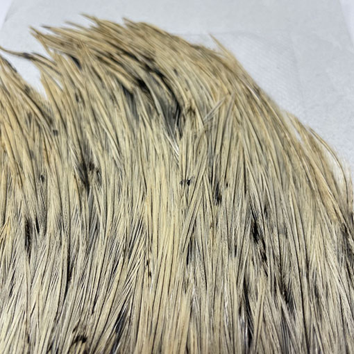 KEOUGH ハックルケープ ＃2 バジャー NO3