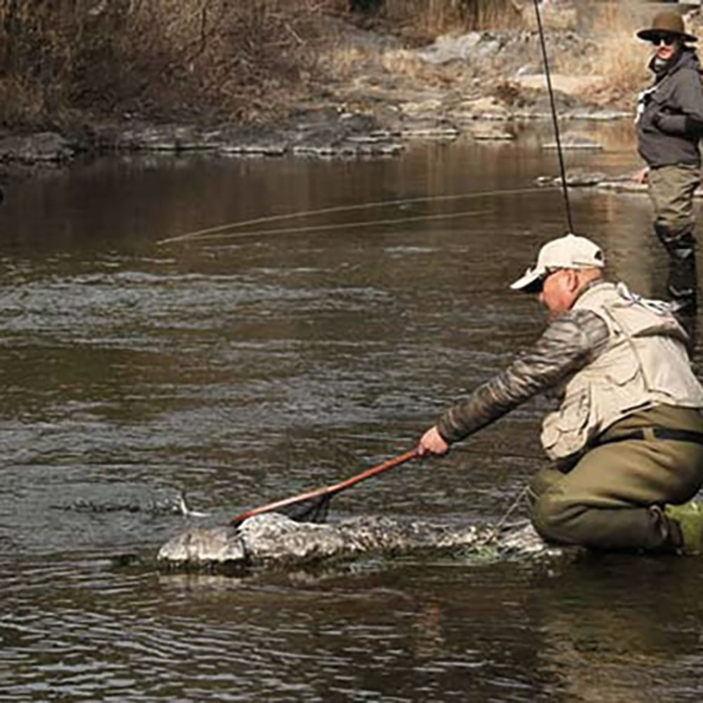 SUGISAKA NETS ֥󥰥åץͥå Ver.2 СåС