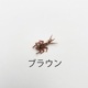 VANIA �ᥤ�ե饤�˥��