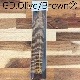 CANAL���֥饾�󥫡�(4��)