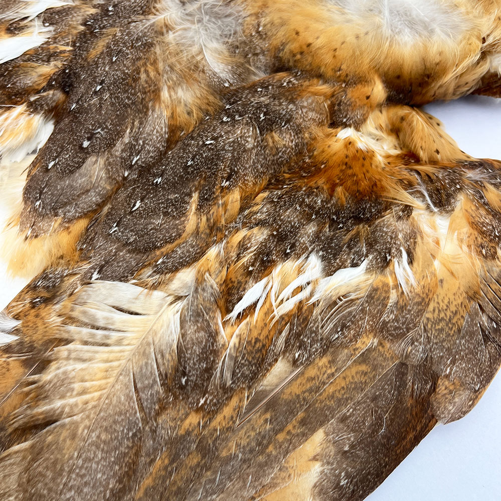 CANAL�� �С��󥢥��륳��ץ꡼�ȥ����� (No.2)