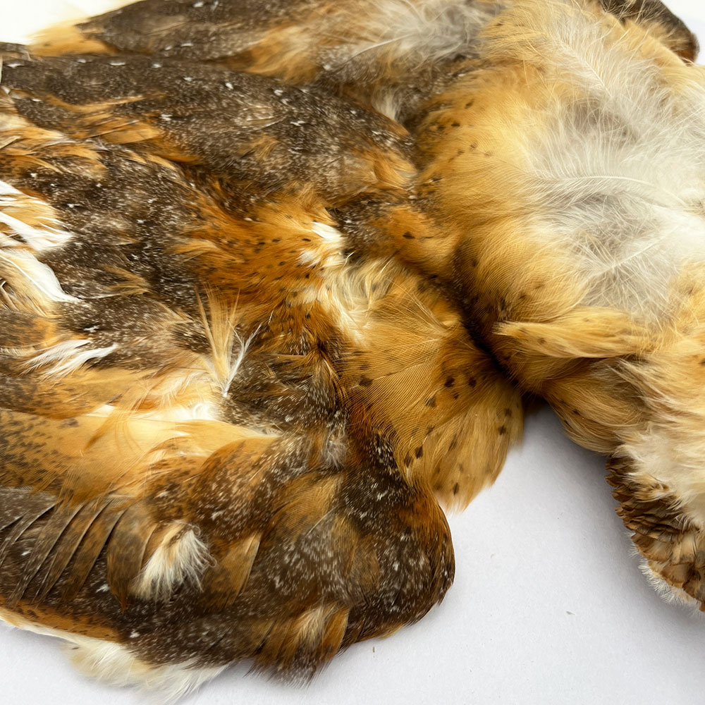 CANAL�� �С��󥢥��륳��ץ꡼�ȥ����� (No.2)