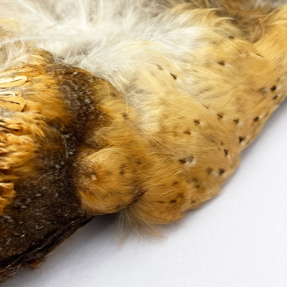 CANAL�� �С��󥢥��륳��ץ꡼�ȥ����� (No.2)