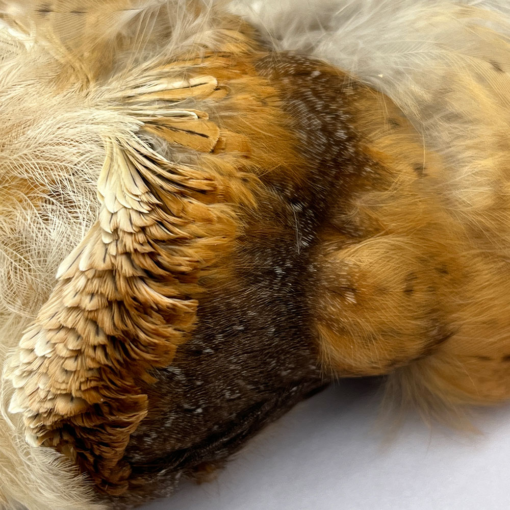 CANAL�� �С��󥢥��륳��ץ꡼�ȥ����� (No.2)