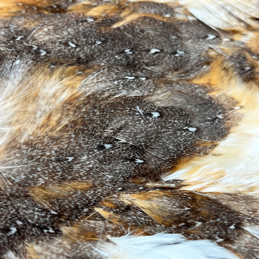 CANAL�� �С��󥢥��륳��ץ꡼�ȥ����� (No.2)