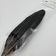 CANAL�ҡ��ԡ����å������� �֥�å���[CN45 001]
