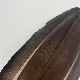 CANAL�ҡ��ԡ����å������� �֥�å���[CN45 001]