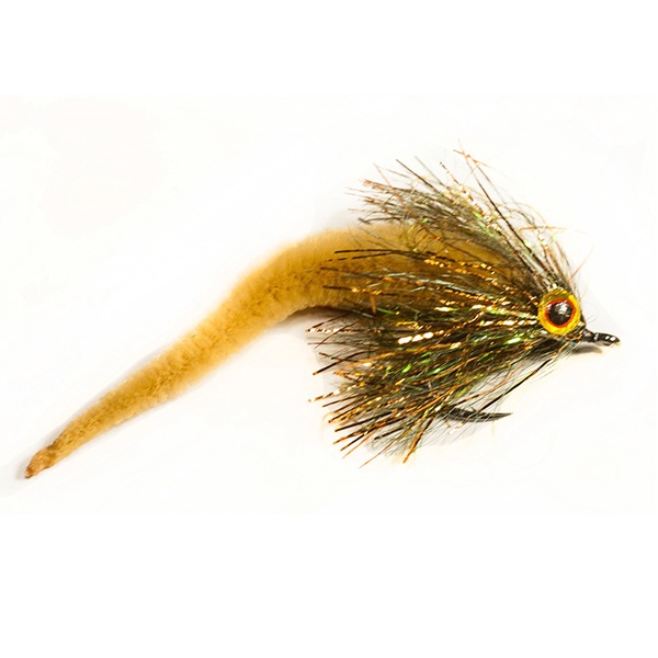 MANGUM's DRAGON TAIL ɥ饴ơ