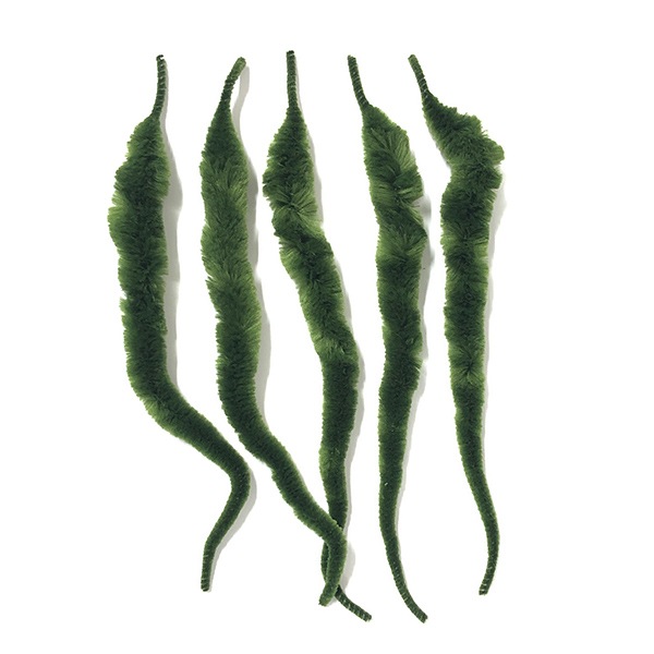 MANGUM's DRAGON TAIL ɥ饴ơ