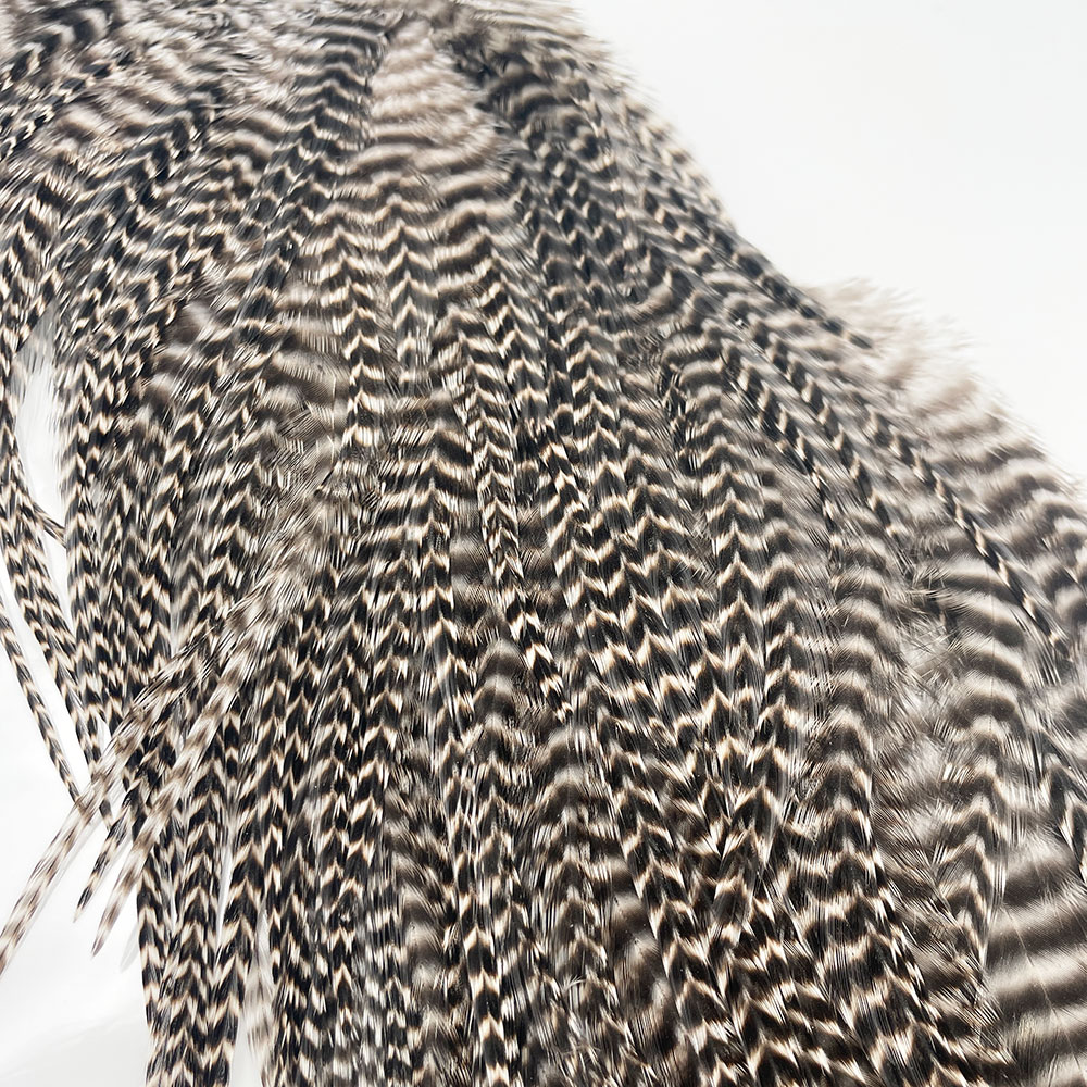 KEOUGH ���å����ɥ�1/2������ No.4