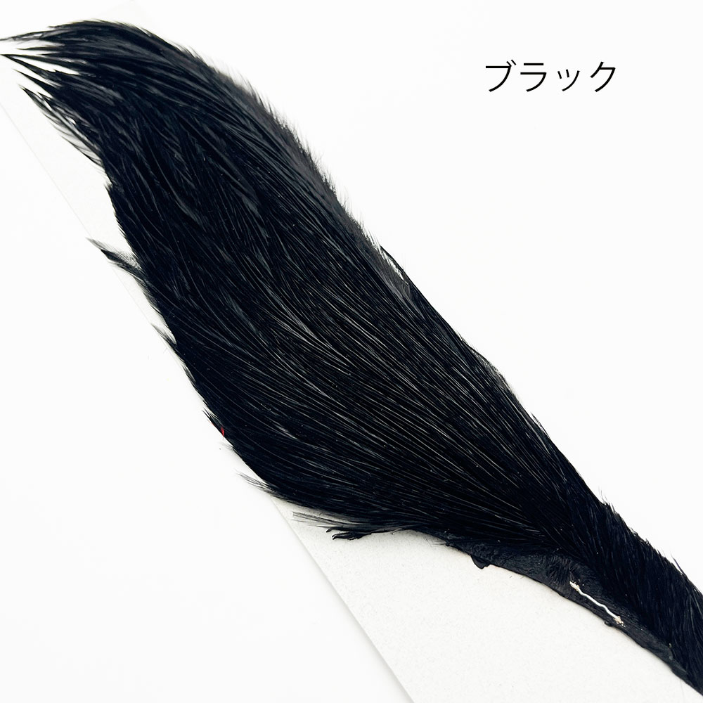 12_000000002798.jpg?1741674635