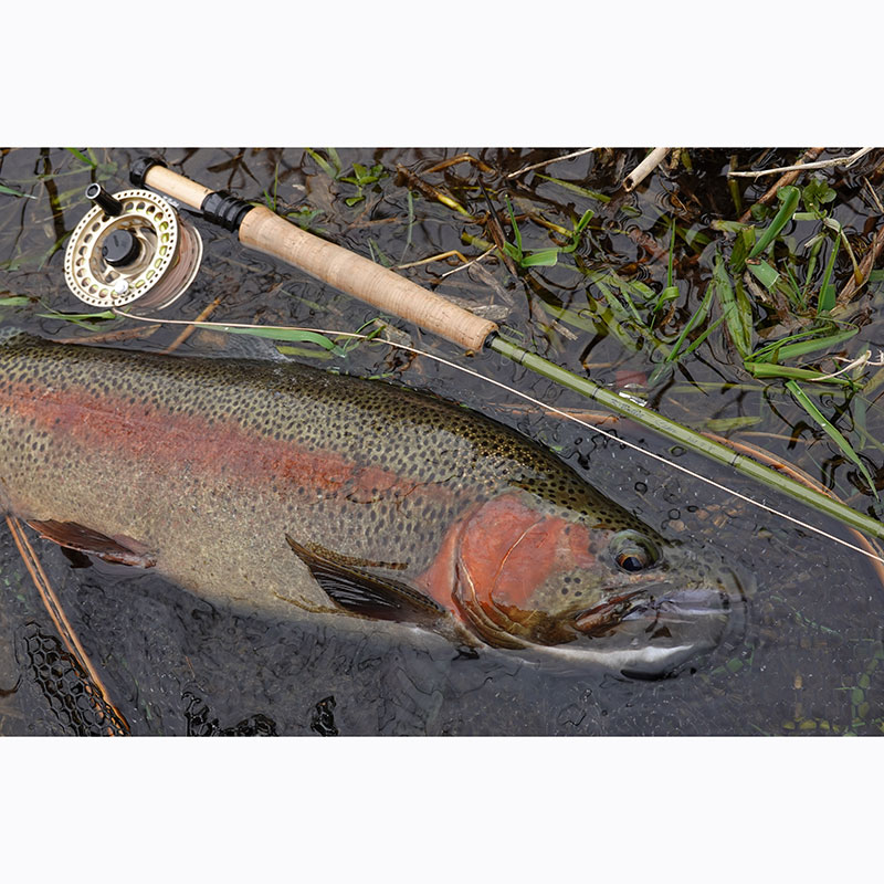 SABRE #3 (9ft 9inch) 6pcs