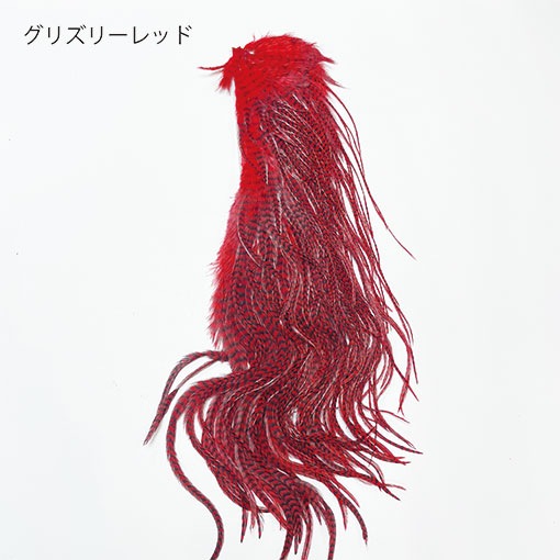 スペンサー ハックル グリズリー ダイドブルー #2？ + ハックルガード Hermit Fly Shop / ホワイティング・その他