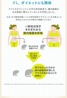 �֥����ɥӥե�60��ʬ �������ȤΥӥե������ݤ��۹� ������¤ ��ǽ��ɽ������