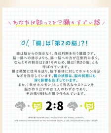 �֥����ɥӥե�90��ʬ �������ȤΥӥե������ݤ��۹� ������¤ ��ǽ��ɽ������